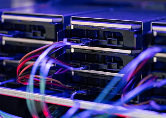 managed hosting